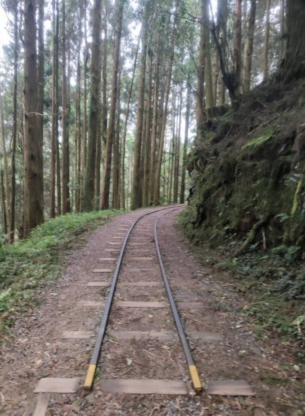 1140830特富野古道3099977