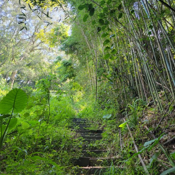 象鼻古道、千兩山步道2219261