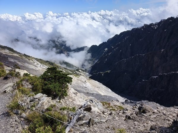 北一段(11/14)南湖北峰 2025_0906~132887329