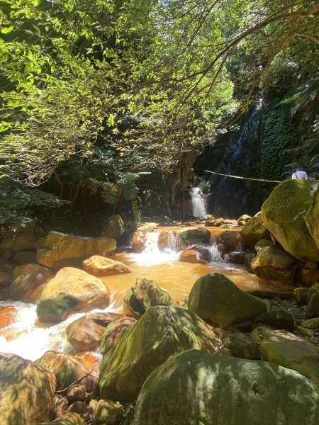 《陽明山秘境健行｜翠峰瀑布 × 天母古道 夏日涼爽路線》2852219
