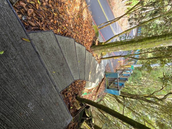 鳶嘴山+稍來神木2709852