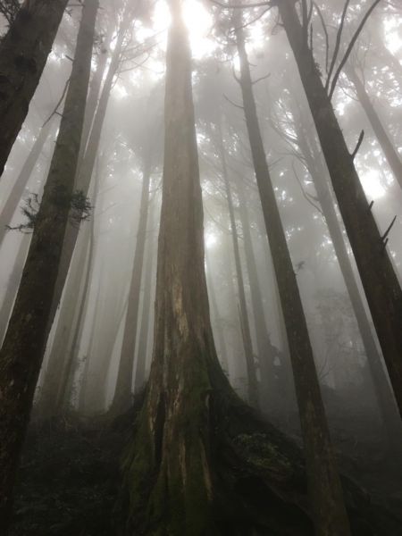 特富野古道321276