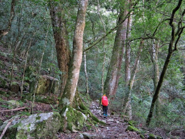 大霸尖山 伊澤山 加利山1514806