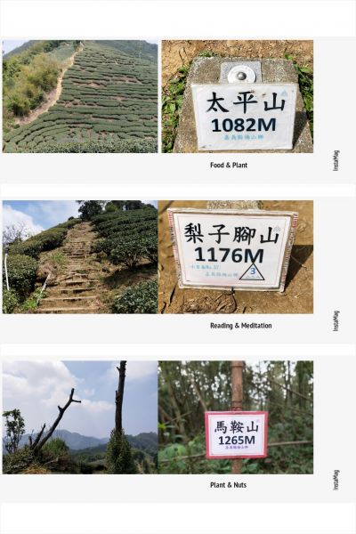 梨子腳山步道284666