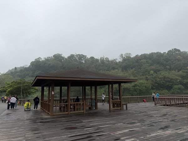 [樟之細路_第一大段RSA01] 2026_0329 三坑自然生態公園3026798