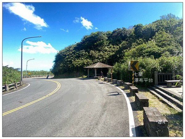 七星山步道、芒花搖曳3137683