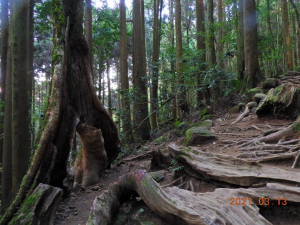 苗栗 南庄 加里山、哈堪尼山1304151