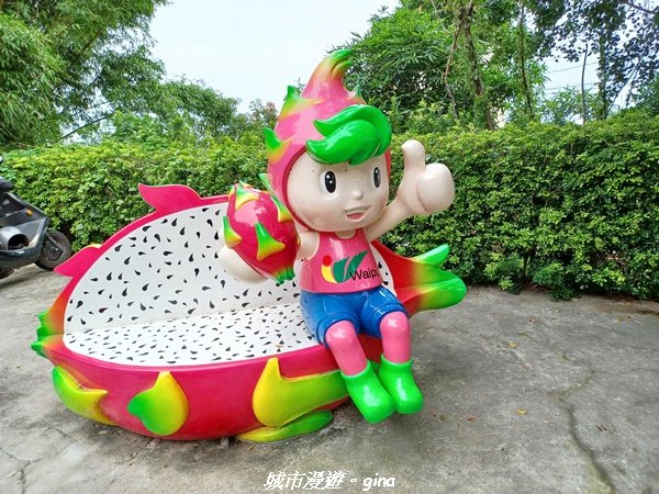 【台中外埔】沿著水圳散散步。 外埔水流東桐花步道1731444