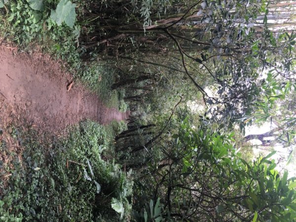 五酒桶山、南崁山2693327