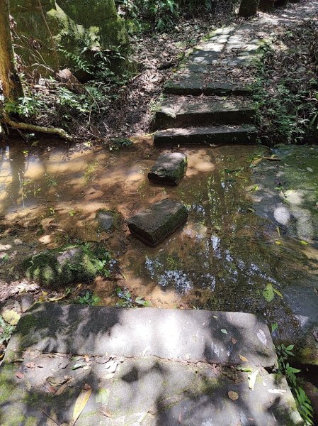 台北大縱走第五段 捷運劍潭站至碧山巖2800519