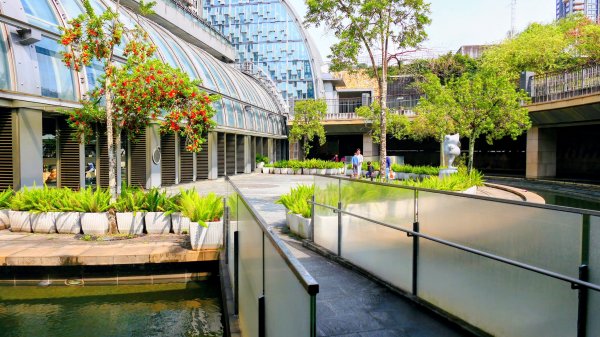 大安公園,台大校園3012100