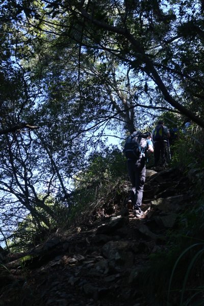 谷關七雄-馬崙山1st2888296