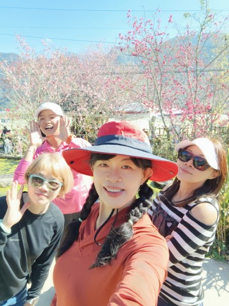 南投草坪頭2714117