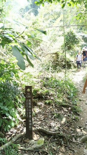 20251004 馬那邦山 - 珠湖 登山口2904926