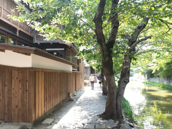 近幾八幡(八幡神宮ˊ八幡山)3089854