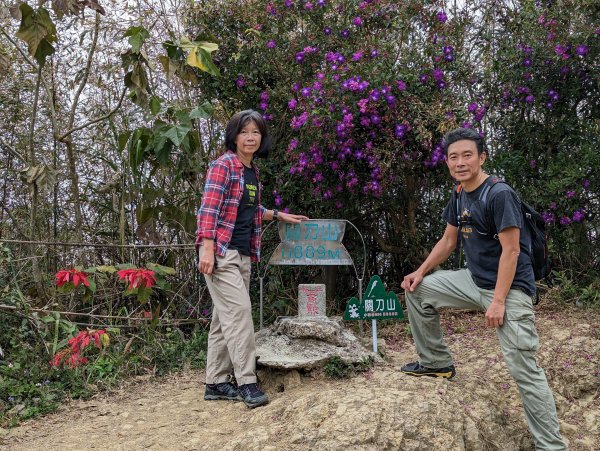 【小百岳036】苗栗 關刀山 出關古道