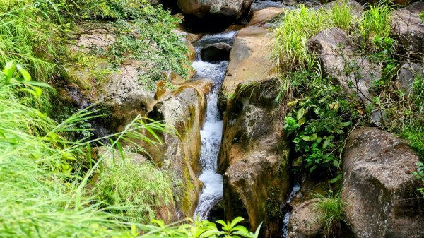 番王厝,番婆厝,王子厝,公主厝2827587