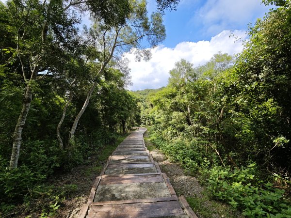 [百山百鳥尋旅-02/15] 2025_0809 社頂自然公園步道2857098