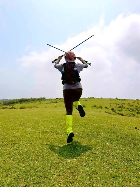 坪頂古圳-荷蘭古道-高頂北五指杏林山-石梯嶺擎天崗3026384