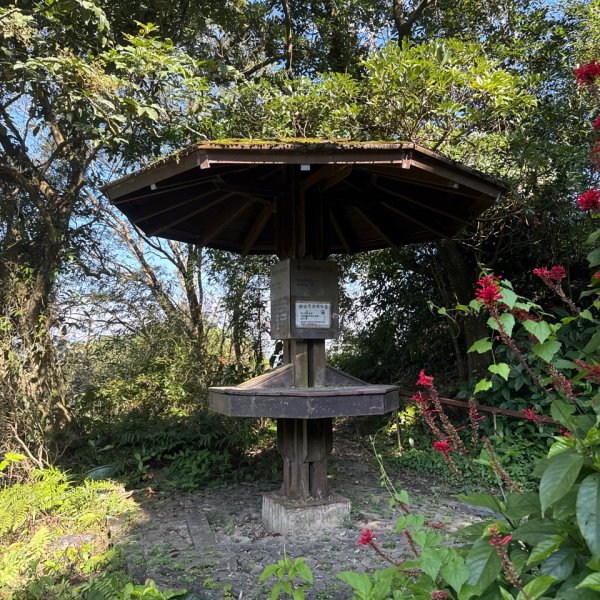 20260110 更寮古道(小百岳-土庫岳)2980768