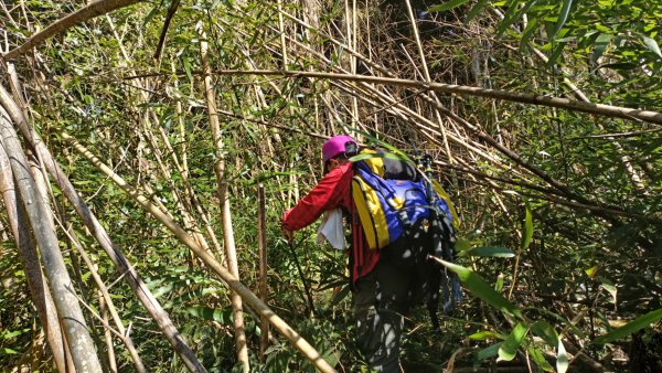 大石翁山探勘魔天輪山縱走光崙山O繞界山探勘大秘寶(第七次完勝打通任督二脈) 2023年1月27日2008037