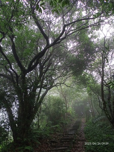 【臺北大縱走 6】象山公園→妙高台→拇指山頂峰登山口→南港山南峰→南港山→九五峰→中華科技大學2126885