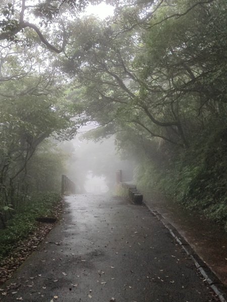 臺北大縱走第一段：關渡至二子坪2790235