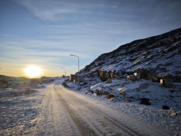 [紐約馬之行-32] 2025_1106 格陵蘭犬2947908