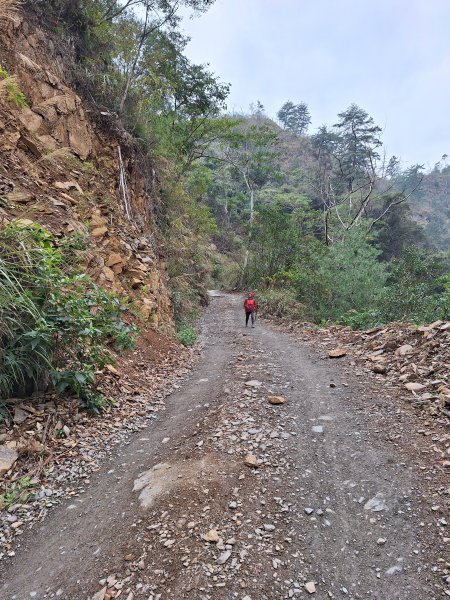 北港溪峽谷202602092995636