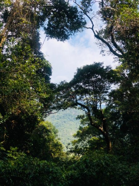 唐麻丹山蝴蝶谷步道1329433