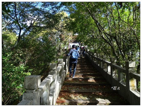 梨山/希利克步道683405