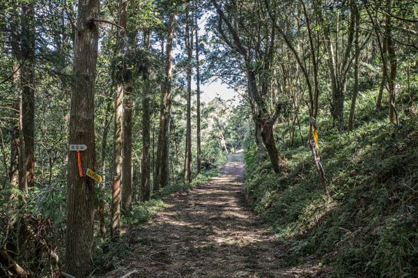 從新北走到宜蘭-坪溪古道 & 石空古道1839491