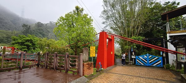 獅潭觀魚步道+潭老街-2026/03/293026409