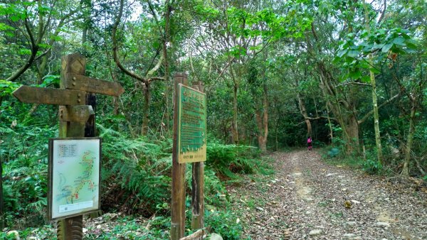 小百岳【尾寮山】905216