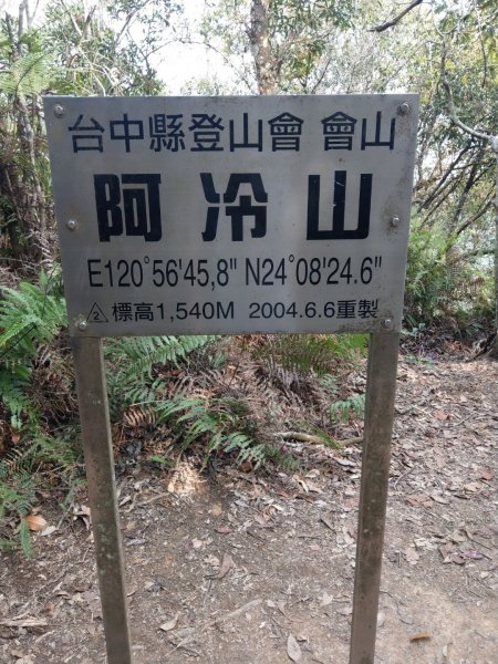 阿冷林道上阿冷山2020/3/22888343