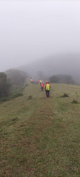 北五指山；內雙溪古道1538647