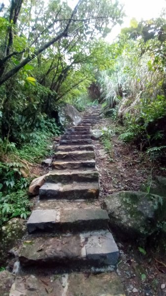 陽明山東西大縱走，下次再把西段走完1963568