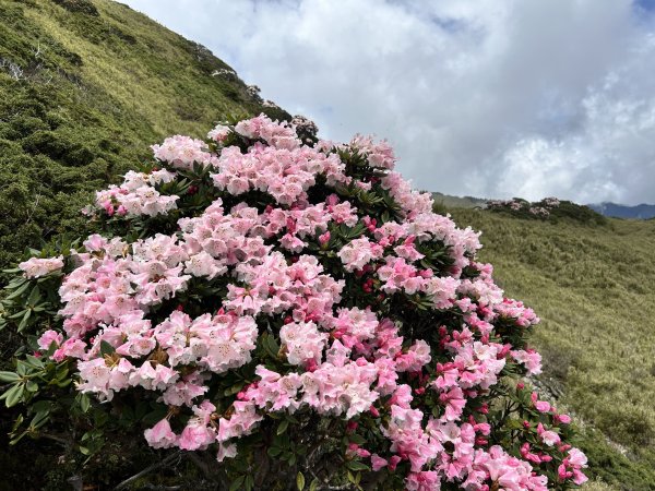 合歡東峰3057025