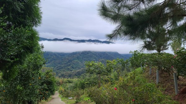 2020-1221 大崎崠登山步道1214936