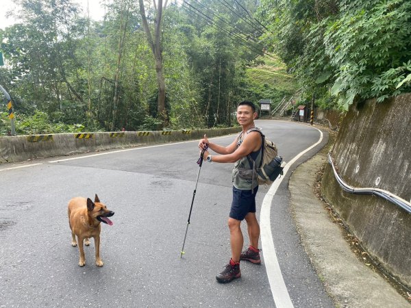 三寶山(烏心石山.鳩州嶺.尖凍山)步道【變成夢魘的大秘寶】2639834