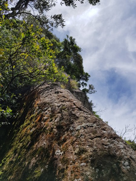 復興三尖之那結山1423091