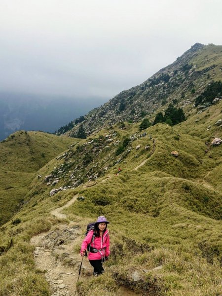 賞心悅目～賞高山玉山杜鵑1374457