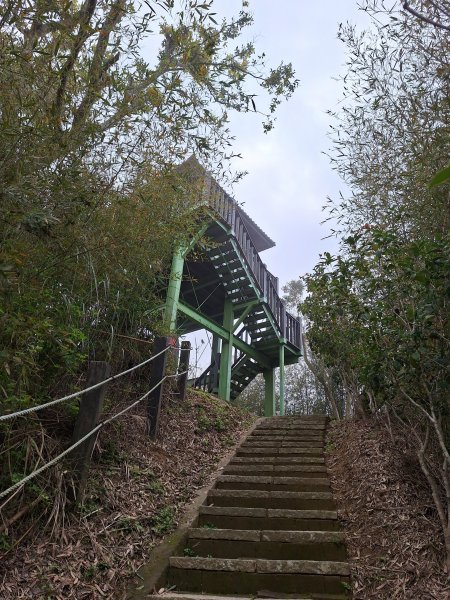 劍潭古道202503122734299