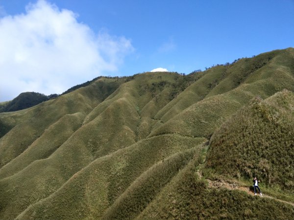 宜蘭縣聖母登山步道711802