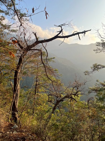 2026/02/08馬崙山3008170