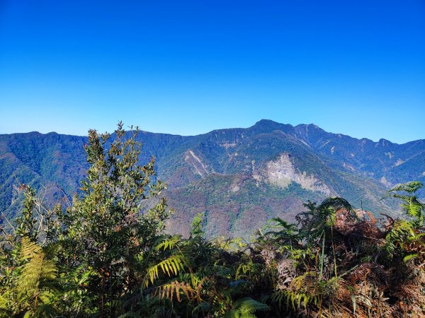 泰安鳥嘴山（上島）2689346