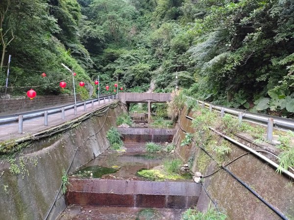 1121104貴子坑親山步道3099489