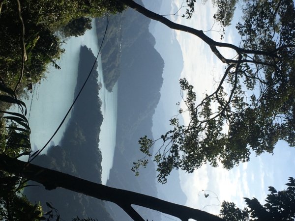 梅花撲鼻香2686604