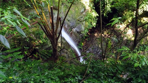 茄苳瀑布,和尚頭山,四分尾山,大尖山2241932