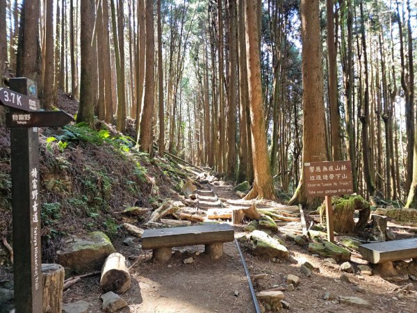 特富野古道-2024嘉遊好步道．來嘉走走2674385
